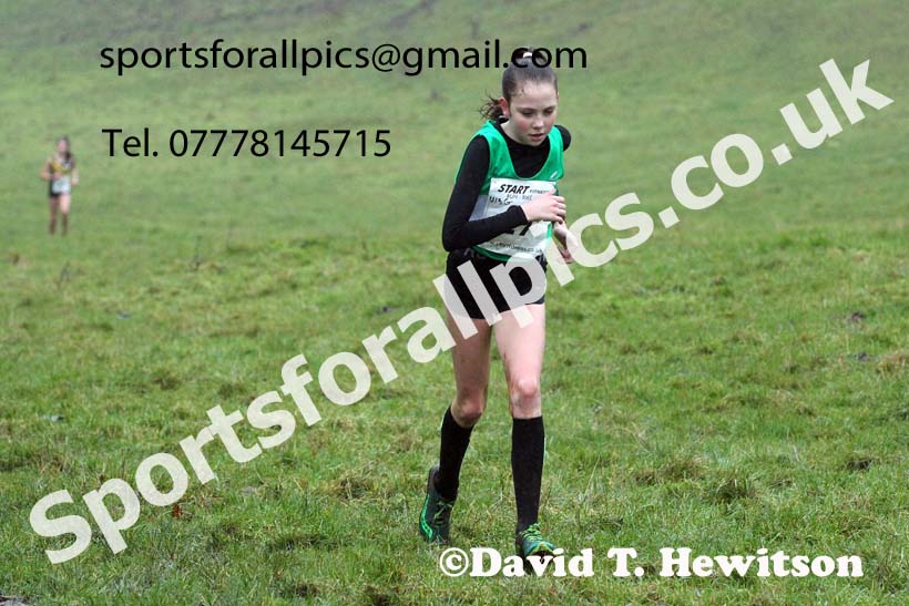 Girls under-13s, NECAA Junior Cross Country Relays, Thornley Farm, Peterlee, Saturday, December 12th. Photo: David T. Hewitson/Sports for All Pics